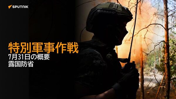 【特別軍事作戦 7月31日の概要 露国防省】 - Sputnik 日本