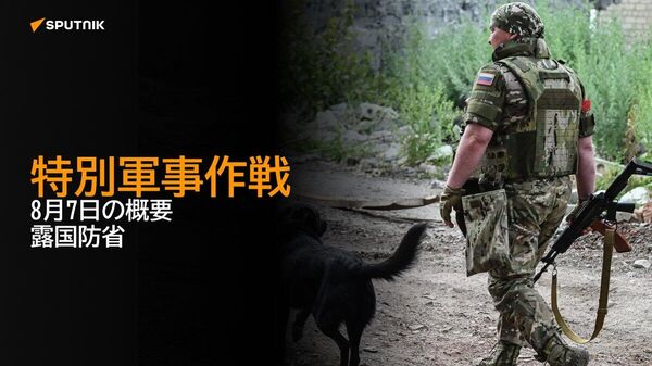 【特別軍事作戦 8月7日の概要 露国防省】 - Sputnik 日本