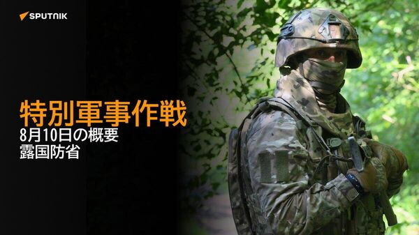 【特別軍事作戦 8月10日の概要 露国防省】 - Sputnik 日本