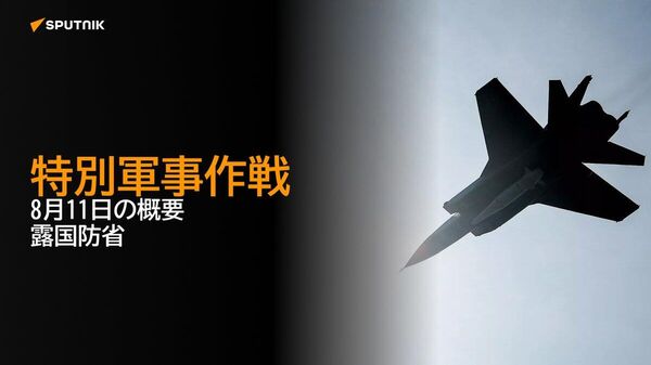 【特別軍事作戦 8月11日の概要 露国防省】 - Sputnik 日本
