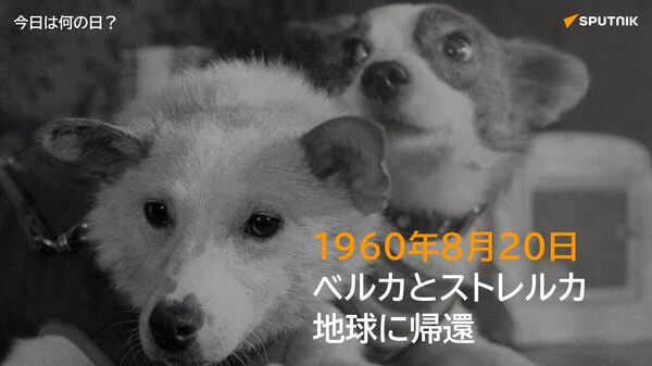🗓️1960年8月20日、ソ連の宇宙船「スプートニク5号」に乗って宇宙を旅した犬のベルカとストレルカが地球へ帰還した。 2匹は25時間以上宇宙に滞在し、地球を17周。無事地球に帰還した最初の動物となった。 #今日は何の日_Sputnik - Sputnik 日本