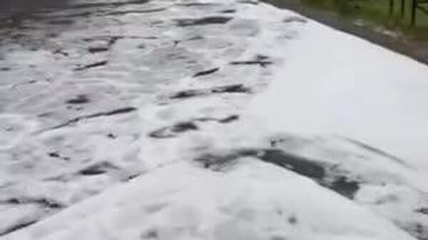 【露ペテルブルクで初雪】 - Sputnik 日本