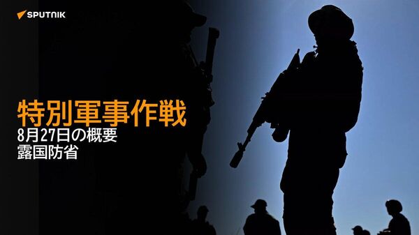 【特別軍事作戦 8月27日の概要 露国防省】 - Sputnik 日本