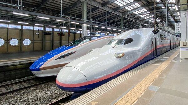 【上越新幹線の車内でモバイルバッテリーが発火 1人がやけど】 - Sputnik 日本