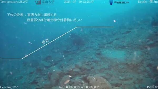 【能登半島地震起こした断層か 海底に落差12メートルの崖】 - Sputnik 日本