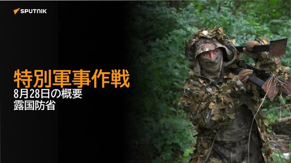 【特別軍事作戦 8月28日の概要 露国防省】 - Sputnik 日本
