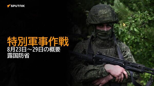 【特別軍事作戦 8月23日～29日の概要 露国防省】 - Sputnik 日本