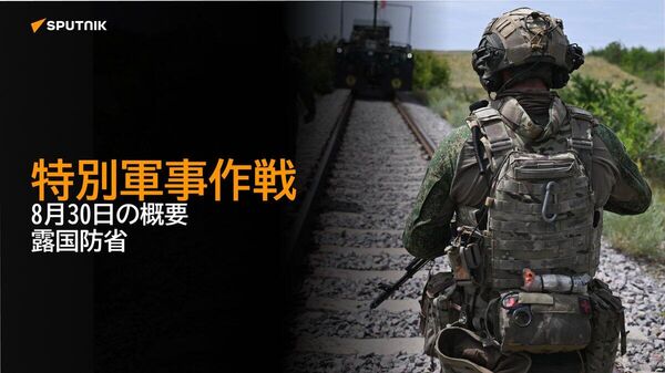 【特別軍事作戦 8月30日の概要 露国防省】 - Sputnik 日本
