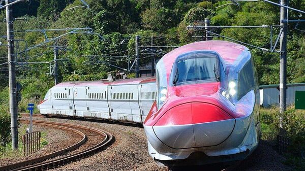 【山形新幹線がクマとぶつかり一時運転見合わせ】 - Sputnik 日本