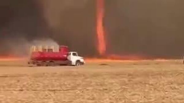 🌪️ ブラジル、サンパウロのサトウキビのプランテーションで起きた火事は突如、稀な自然現象の炎の竜巻を呼んだ。 - Sputnik 日本