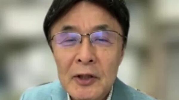 【しっかりとした国家論を訴える人がいなければ自民党は自滅する＝元外務政務官】 - Sputnik 日本