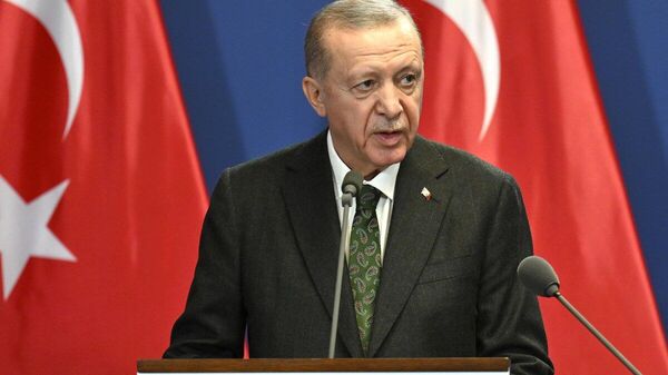 【イスラエルへの経済制裁は成果をもたらす可能性 トルコ大統領が発言】 - Sputnik 日本