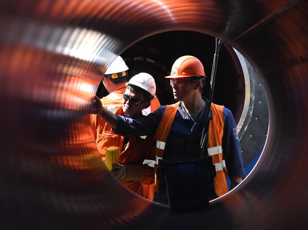 ガスパイプライン「ノルドストリーム2」の建設作業員、レニングラード州 ガスパイプライン「ノルドストリーム2」の建設作業員、レニングラード州 - Sputnik 日本