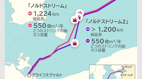 【破壊工作 2022年に何が起きたか】（4/6) - Sputnik 日本