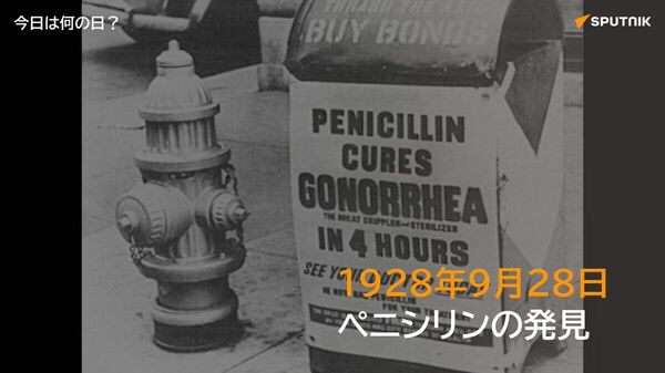 🗓️1928年9月28日、英国の細菌学者アレクサンダー・フレミングが培養中のシャーレで青カビが細菌を殺す現象を発見。後に世界初の抗生物質「ペニシリン」として実用化され、感染症治療の発展のきっかけとなった。 #今日は何の日_Sputnik - Sputnik 日本