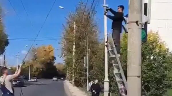 【よくあるマヌケ映像、皆さんの予想は的中しましたか】 - Sputnik 日本