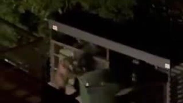 【新入りのゴミ収集作業員】 - Sputnik 日本