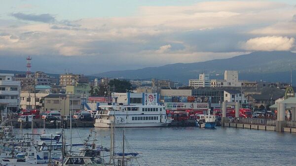 【沼津港で遊覧船が岸壁に衝突 負傷者も】 - Sputnik 日本
