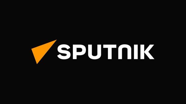 【日経新聞の記事について】 - Sputnik 日本
