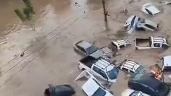 【メキシコで洪水発生、30人以上が死亡】 - Sputnik 日本