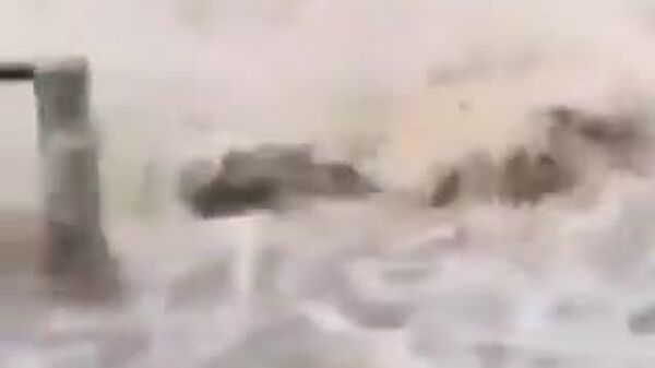 【メキシコ、大雨による死者数が37人に増加】 - Sputnik 日本