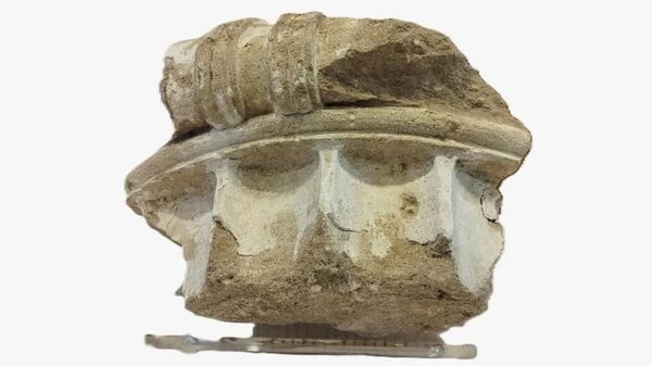 【ドイツ人女性、60年前に盗んだ古代の円柱の断片をギリシャに返還】 - Sputnik 日本