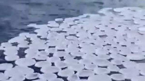 【露シベリアで「氷のパンケーキ」が川を覆う】 - Sputnik 日本