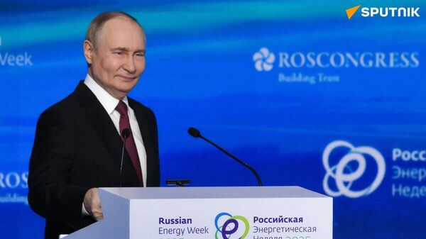 ❗️ 世界は今後も長い間、内燃機関を搭載した自動車に乗り続ける＝プーチン大統領 - Sputnik 日本