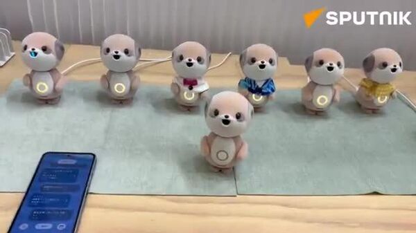 🐶会場ではポケットサイズのペット「ポケとも」との出会いが。お互い引き寄せられたのかも？ - Sputnik 日本