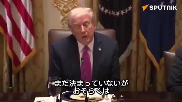 【ハンガリーでの首脳会談は露米で行う＝米大統領】 - Sputnik 日本