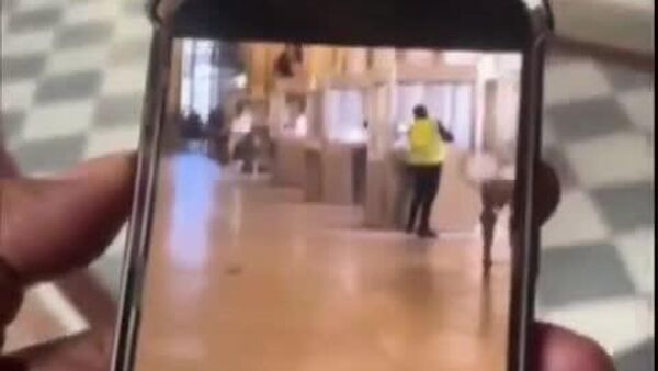 【ルーヴル美術館で強盗 犯行時の映像が公開】 - Sputnik 日本