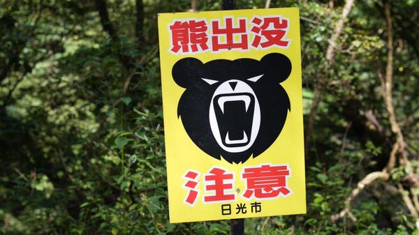 【もうダメと思ったら】（4/4） - Sputnik 日本