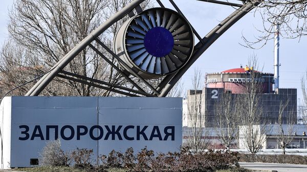 Гендиректор МАГАТЭ Р. Гросси посетил Запорожскую АЭС - Sputnik 日本