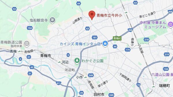 【東京・青梅の小学校で小1児童ら22人がハチに刺される】 - Sputnik 日本