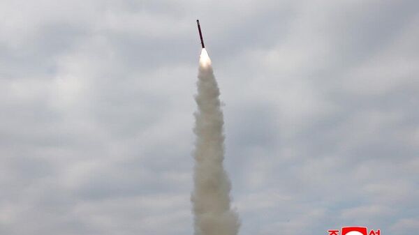 【北朝鮮、海対地戦略巡航ミサイルの試験発射】 - Sputnik 日本