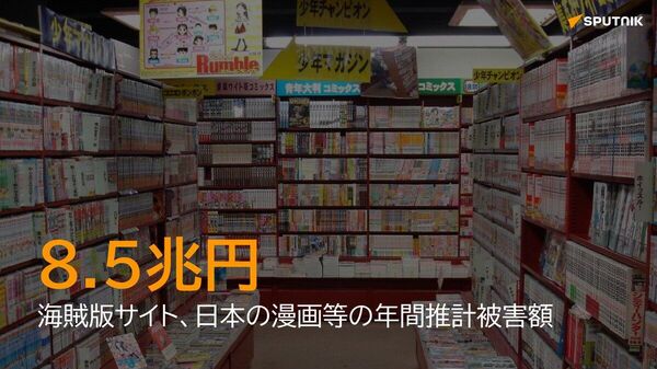 【海賊版、世界で被害額8 - Sputnik 日本