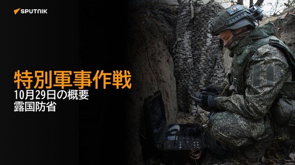 【特別軍事作戦 10月29日の概要 露国防省】 - Sputnik 日本