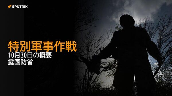 【特別軍事作戦 10月30日の概要 露国防省】 - Sputnik 日本