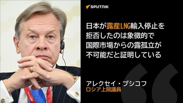 【日本のLNG輸入継続は象徴的、露孤立は不可能と証明＝露議員】 - Sputnik 日本