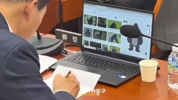 【韓国の国会議員、職務中にゴリラの絵を描く】 - Sputnik 日本