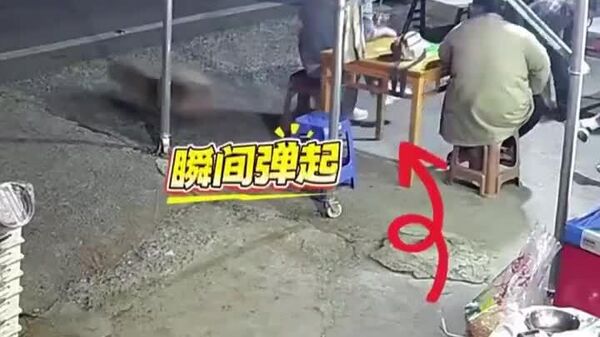 【中国で車が制御不能に 犬が間一髪で家族全員を救う】 - Sputnik 日本