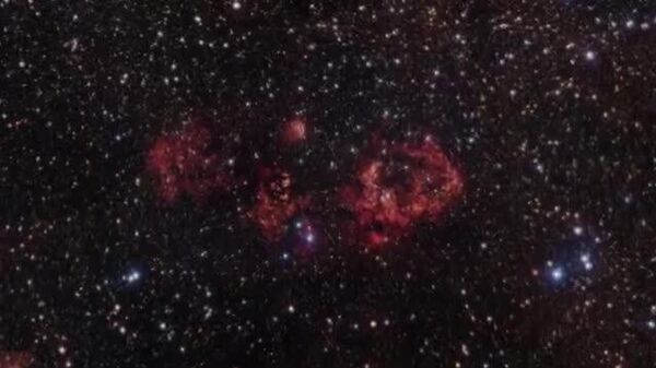 【宇宙に棲む「コウモリ」が発見】 - Sputnik 日本