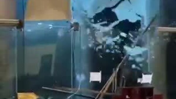 【フィリピンで死者114人を出した台風25号 ベトナム上陸】 - Sputnik 日本