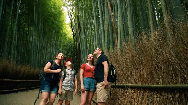 【伐採で物理的に対応】（2/6） - Sputnik 日本