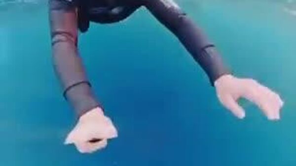 【クジラに食べられそうになるのを間一髪で回避！】 - Sputnik 日本