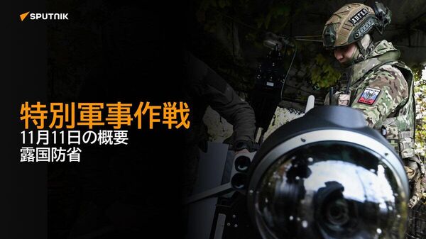 【特別軍事作戦 11月11日の概要 露国防省】 - Sputnik 日本