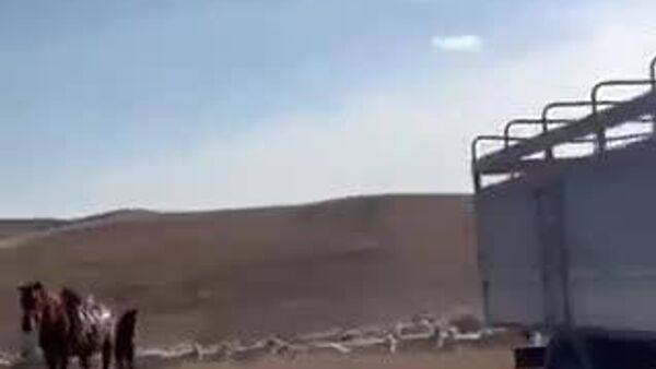 【トルコ軍のC-130輸送機がグルジアで墜落、20名搭乗】 - Sputnik 日本