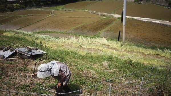 【低所得の高齢者への支援？】(2/3) - Sputnik 日本