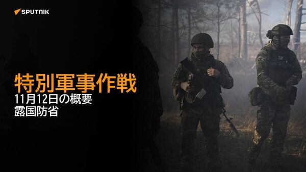 【特別軍事作戦 11月12日の概要 露国防省】 - Sputnik 日本