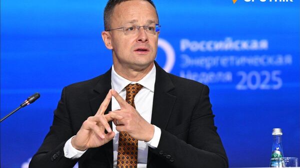 【ハンガリー外相「これ以上金送るな」 ウクライナの汚職スキャンダル受け】 - Sputnik 日本